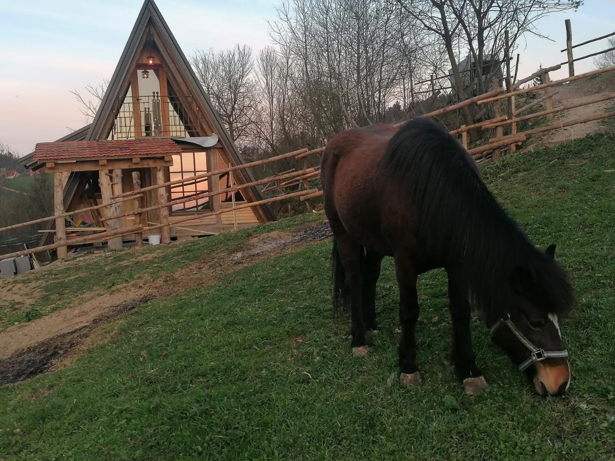 Гостевой дом Ranch At Geta Razgorce Экстерьер фото